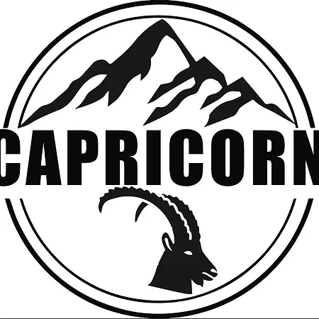 Capricorn **** Apartamento Saas-Grund